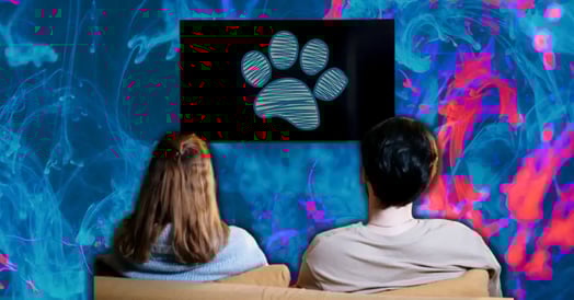 Adults are obsessed with a preschooler cartoon